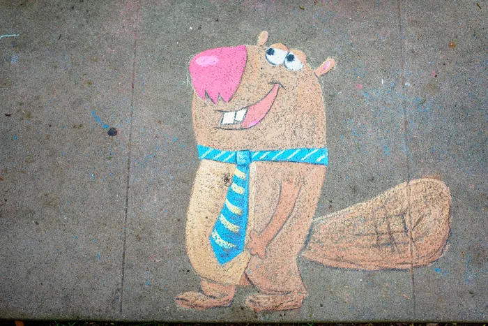 Chalk — photograph 2