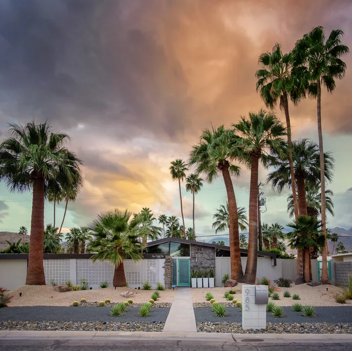 Palm Springs 2018 — photograph 2