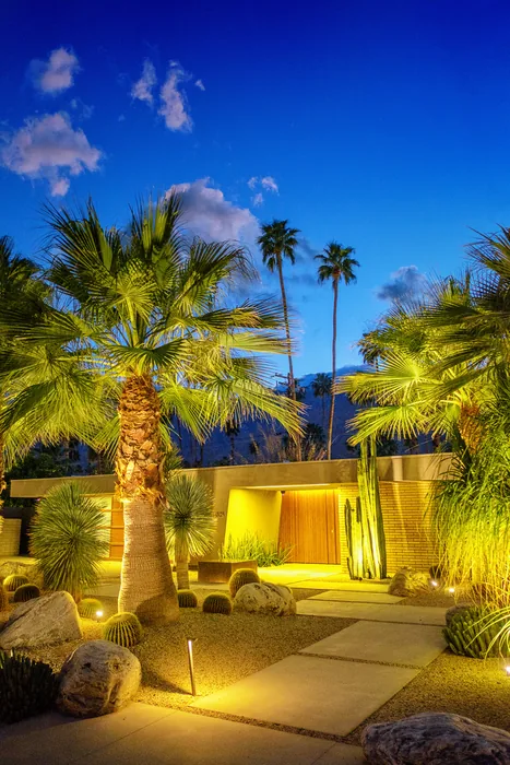 Palm Springs 2018 — photograph 3