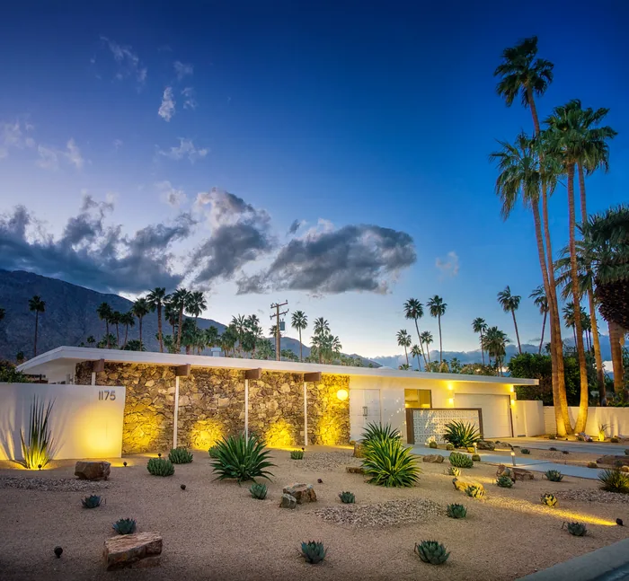 Palm Springs 2018 — photograph 5