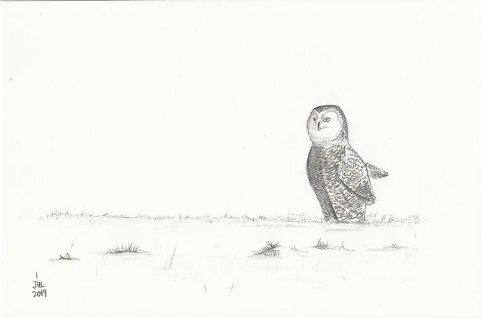 Sketchbook — photograph 27